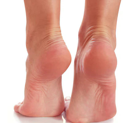 Foot